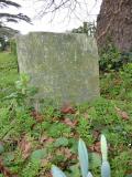 image of grave number 191461